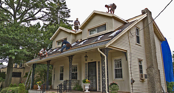Best Storm Damage Roof Repair  in Plum Grove, TX
